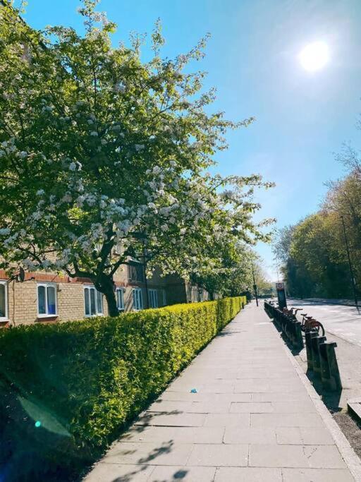 Bright &Spacious One Bedroom Flat Off Canary Wharf London Ngoại thất bức ảnh